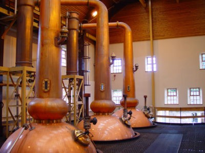Two Beagles Distilling on MainVest 2021