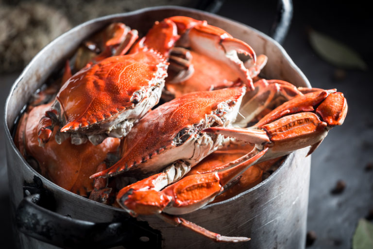 Crab Corner on NextSeed