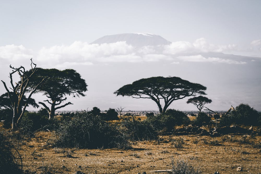 Founder Profile: Luni Libes of Africa Eats