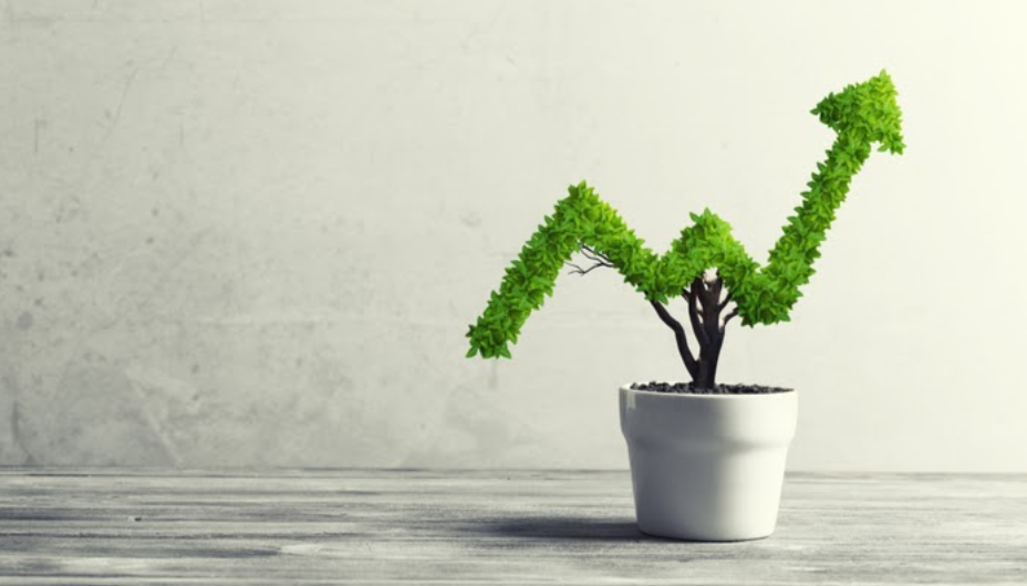 What’s The Easiest Way To Invest In Startups?