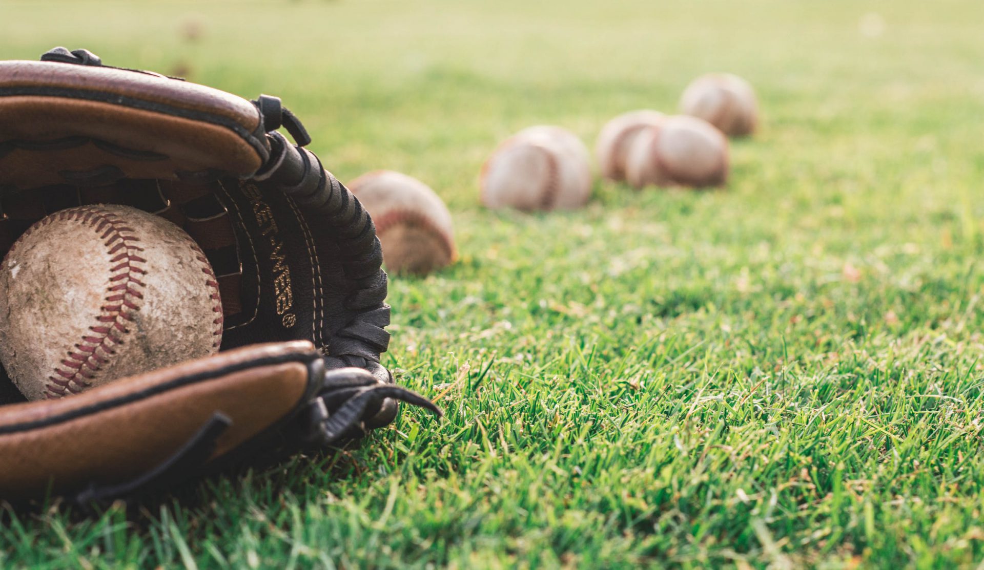 Sector Spotlight: Sports