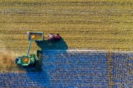 Future Acres on SeedInvest