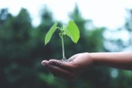 CoPeace Founder Craig Jonas is Investing in a Better World