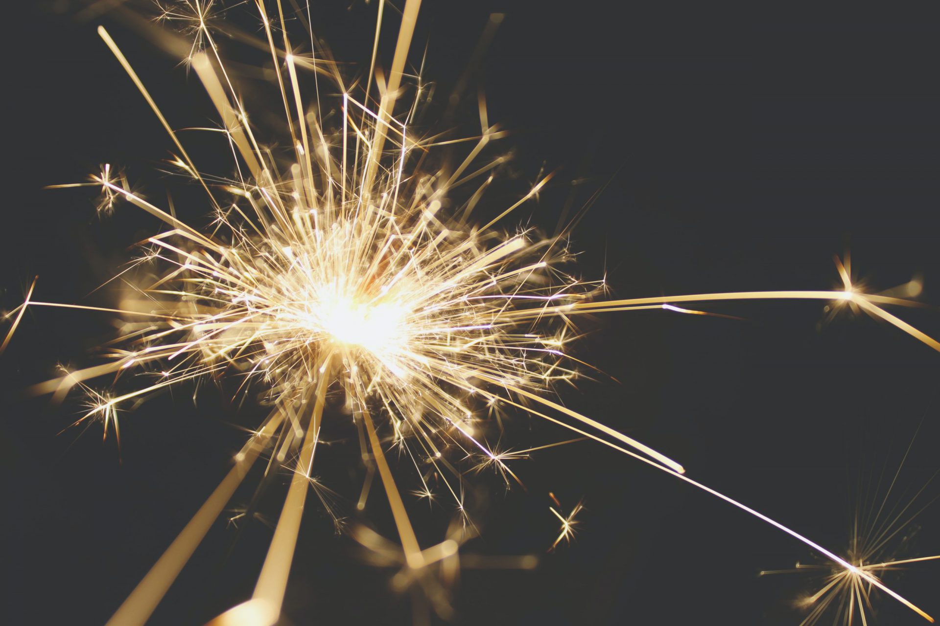 Our Startup Ratings and Analytics Platform is Here