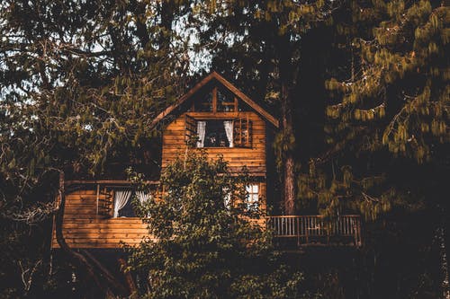 O2 Treehouse on StartEngine