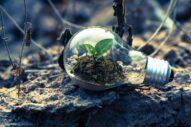COI Energy Founder SaLisa Berrien Is Fighting Climate Change
