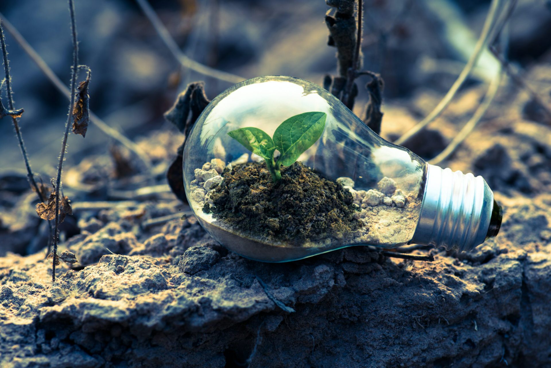 Impact Startup Investing: March 2022