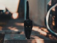 Black Cat Market on Honeycomb