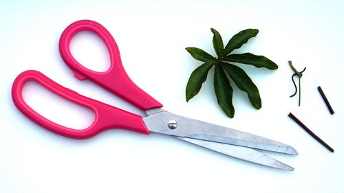 Klean Scissors on Fundanna