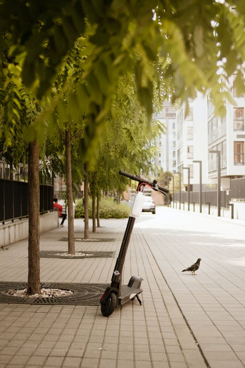 Scooterson on StartEngine 2021