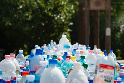 prostainable on Honeycomb 2021