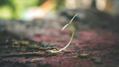 A Clear Difference Between Early Stage and Growth Stage