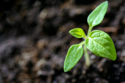 The Most Dramatic Valuation Growth Happens Early