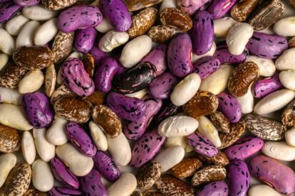 Cool Beans Gives Vegans More Diverse Options