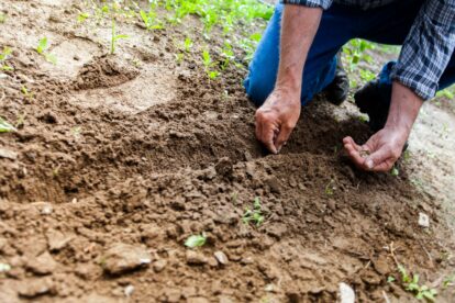 Biodel AG Founder Ben Cloud on How Bacteria is Revitalizing Soil