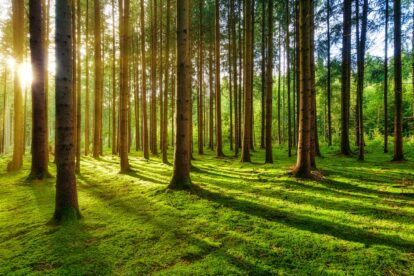 A New Standard for Investment Portfolios